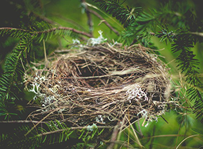 Adjusting to an Empty Nest Together